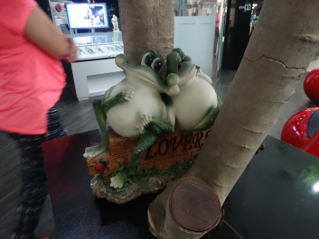 photo 1659146