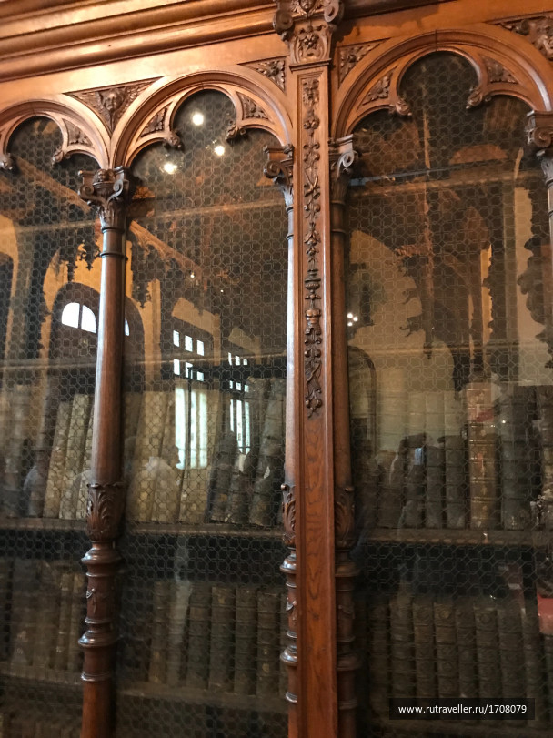 photo 1665891
