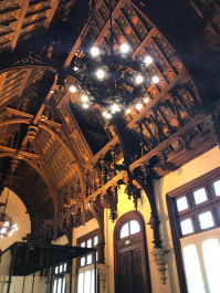 photo 1665894
