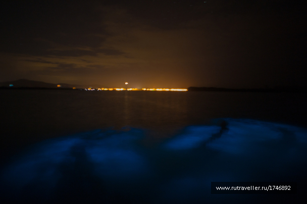 photo 1688382