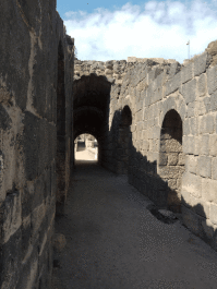 photo 1689264
