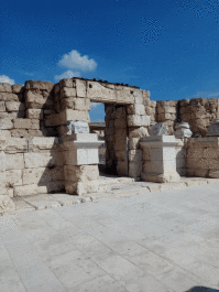 photo 1689281