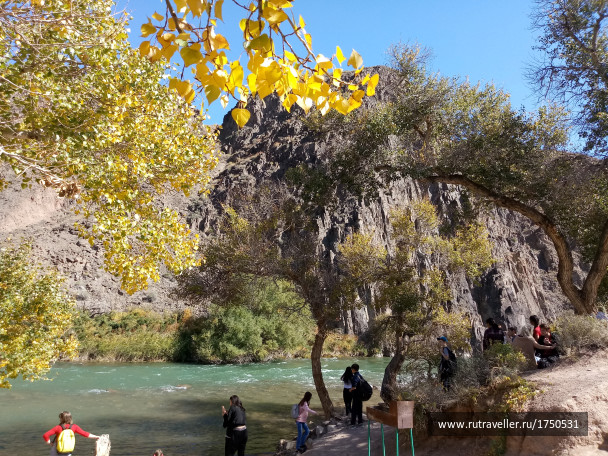 photo 1691654