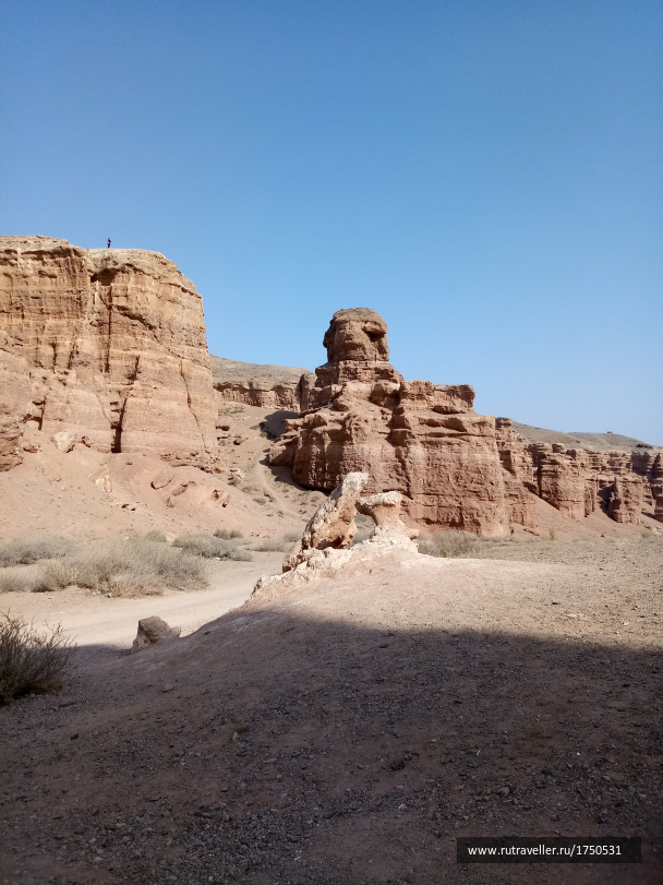 photo 1691658