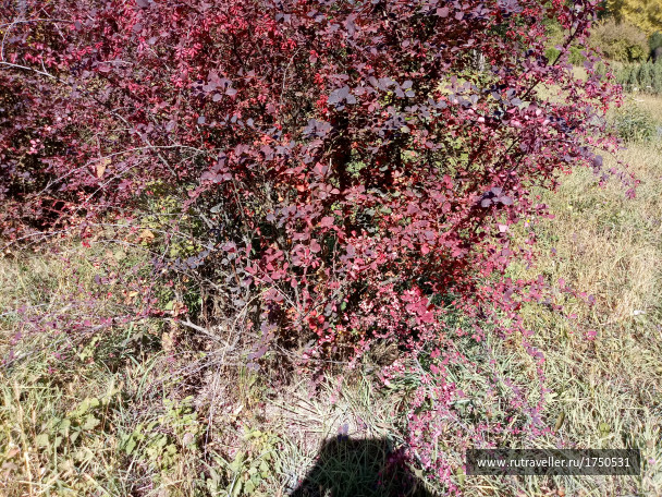 photo 1691676