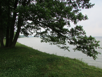 photo 1750543