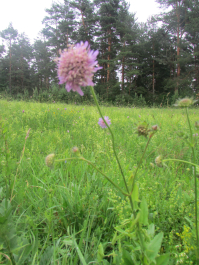 photo 1751731