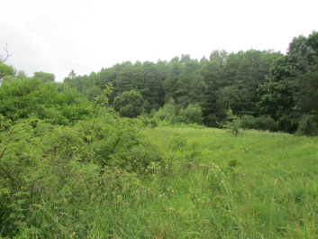 photo 1751732