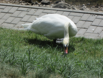photo 1751511