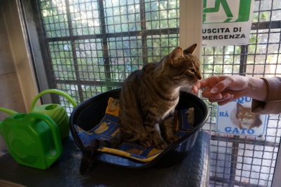 photo 1698576
