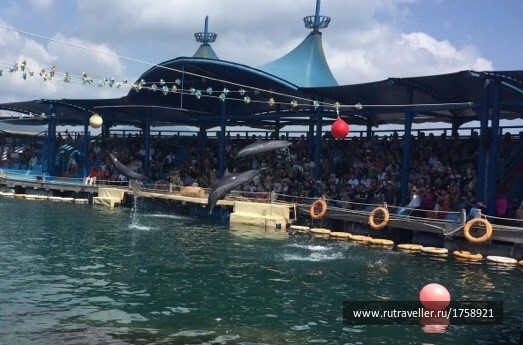 photo 1700954