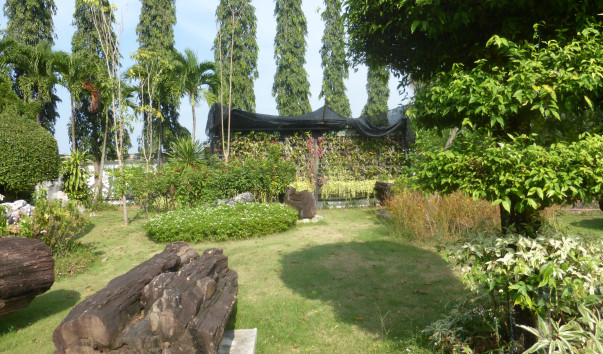 P1050810