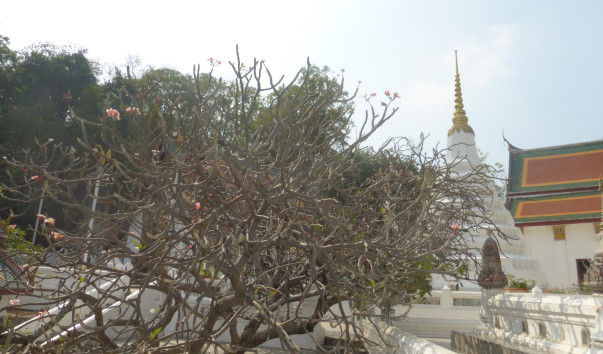 P1060027
