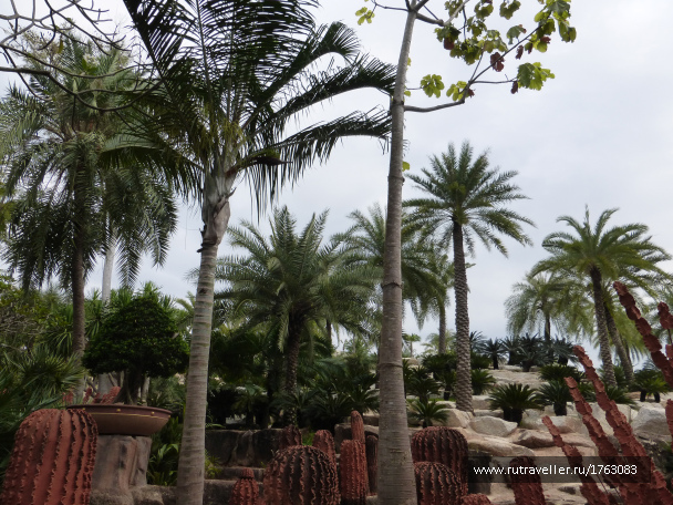 photo 1712824