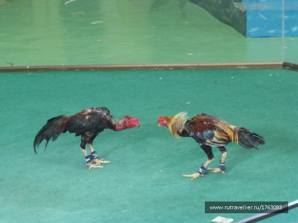 photo 1712833