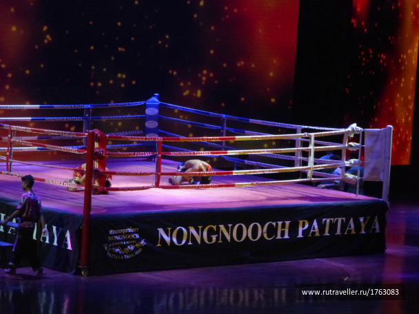 photo 1712889