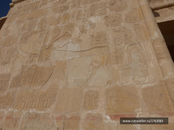 photo 1756855