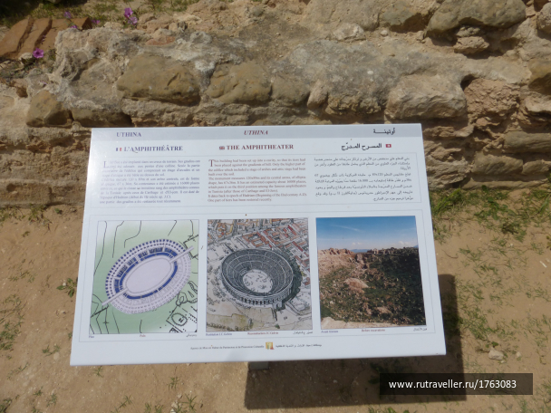 photo 1764388