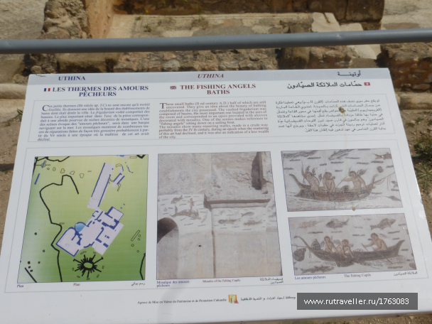 photo 1764403