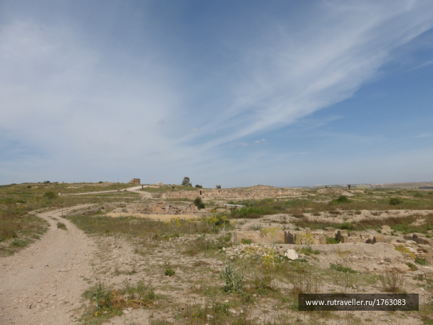 photo 1764407