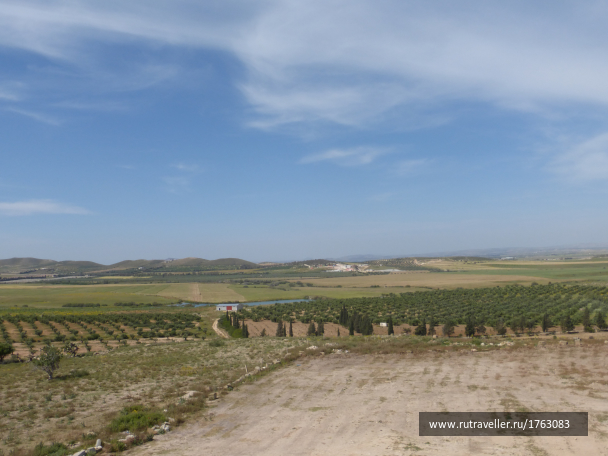 photo 1764429
