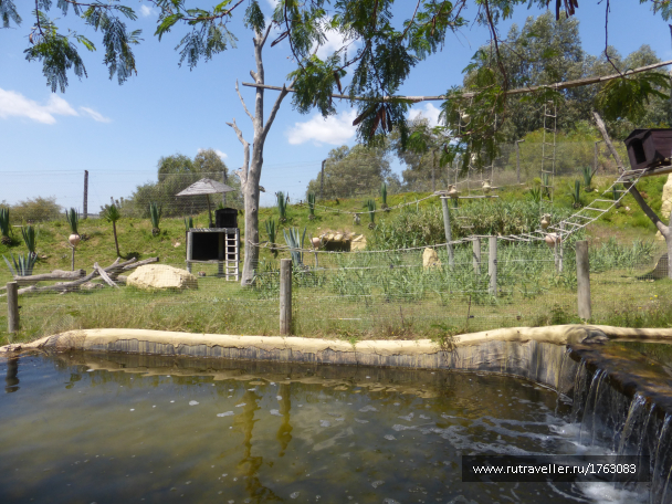 photo 1764524