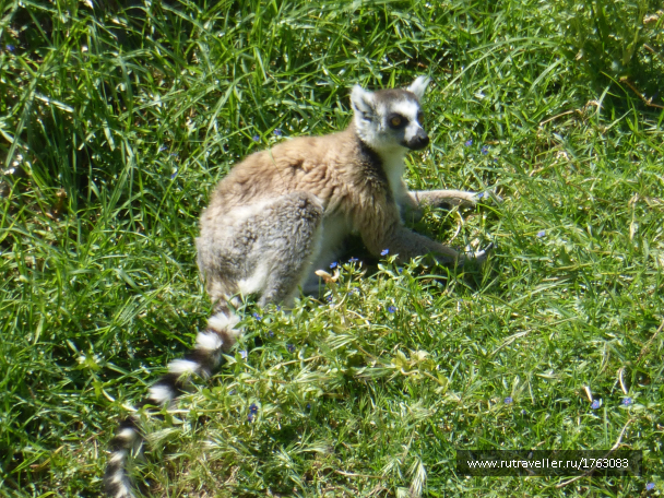 photo 1764527