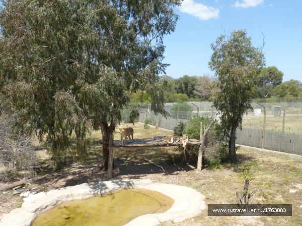 photo 1764534