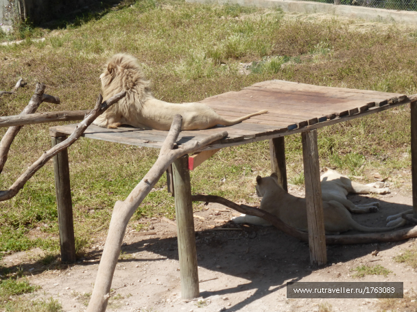 photo 1764535