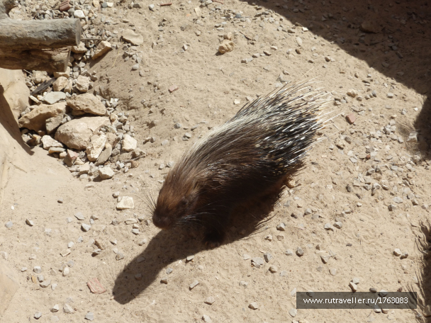 photo 1764537