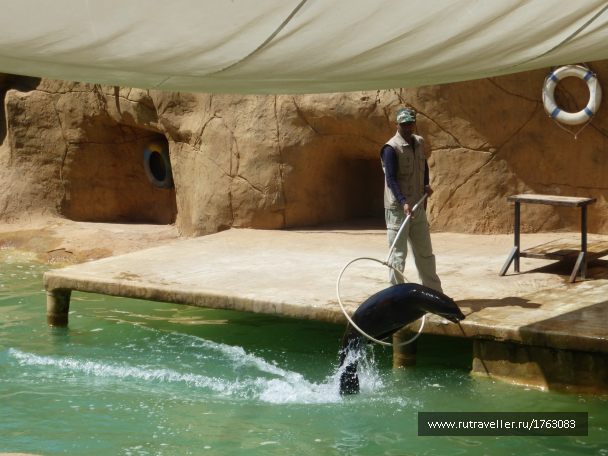 photo 1764541
