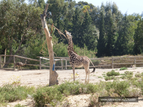 photo 1764544