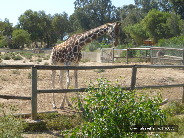 photo 1764548
