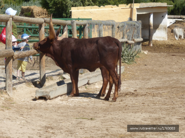 photo 1764551