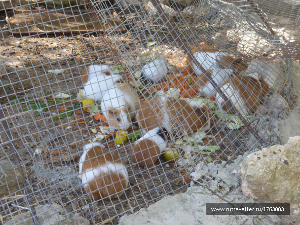 photo 1764553