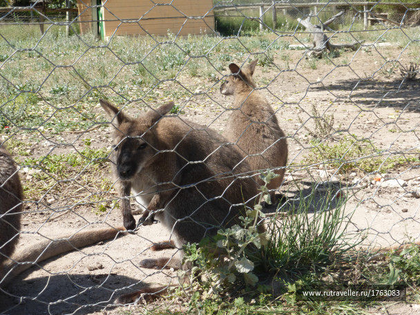 photo 1764554