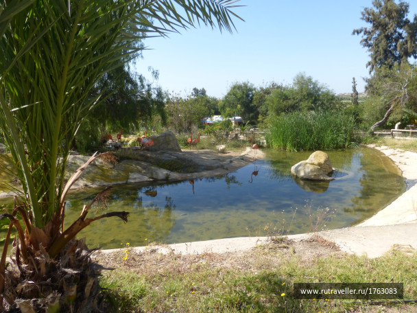 photo 1764557