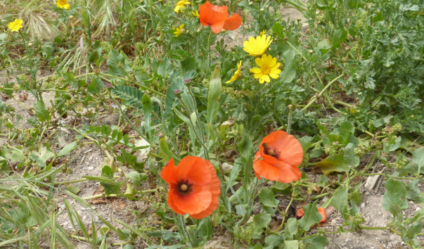P1100555