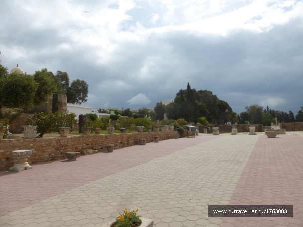 photo 1764572