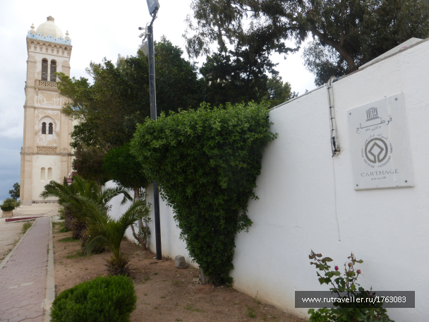 photo 1764574