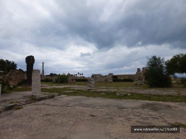 photo 1764581