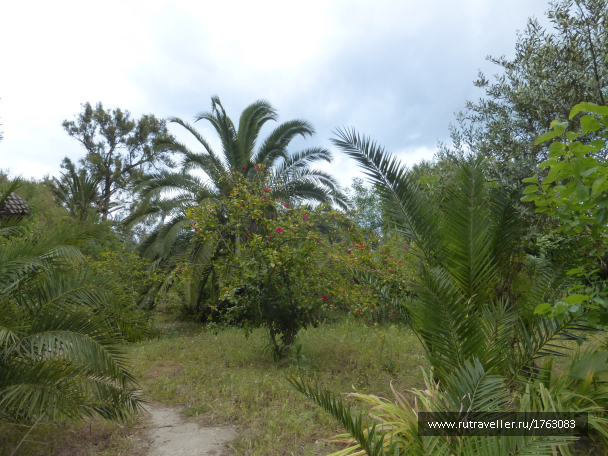 photo 1764583