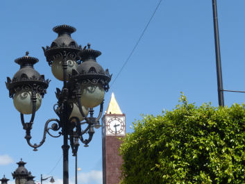 photo 1764601