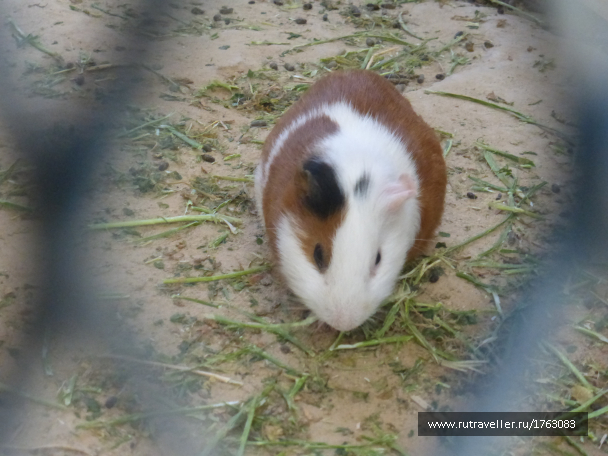 photo 1765874