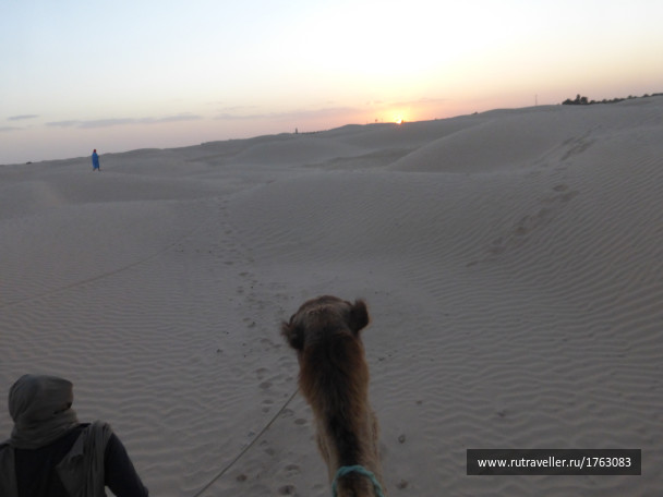 photo 1765882