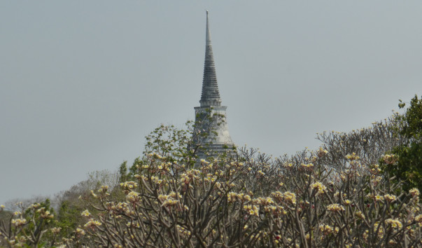 P1130333