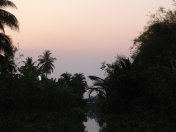 photo 1859087