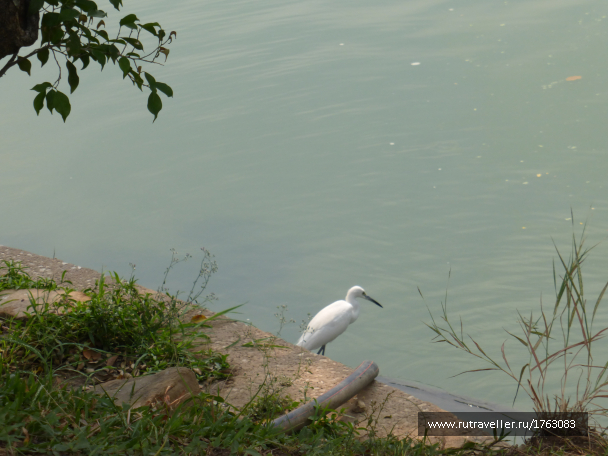 photo 1859224