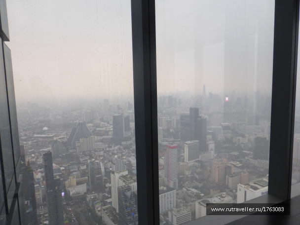 photo 1859249