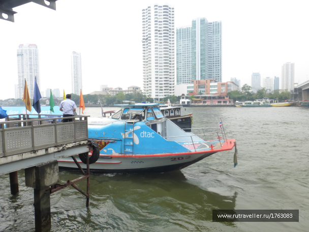 photo 1859261